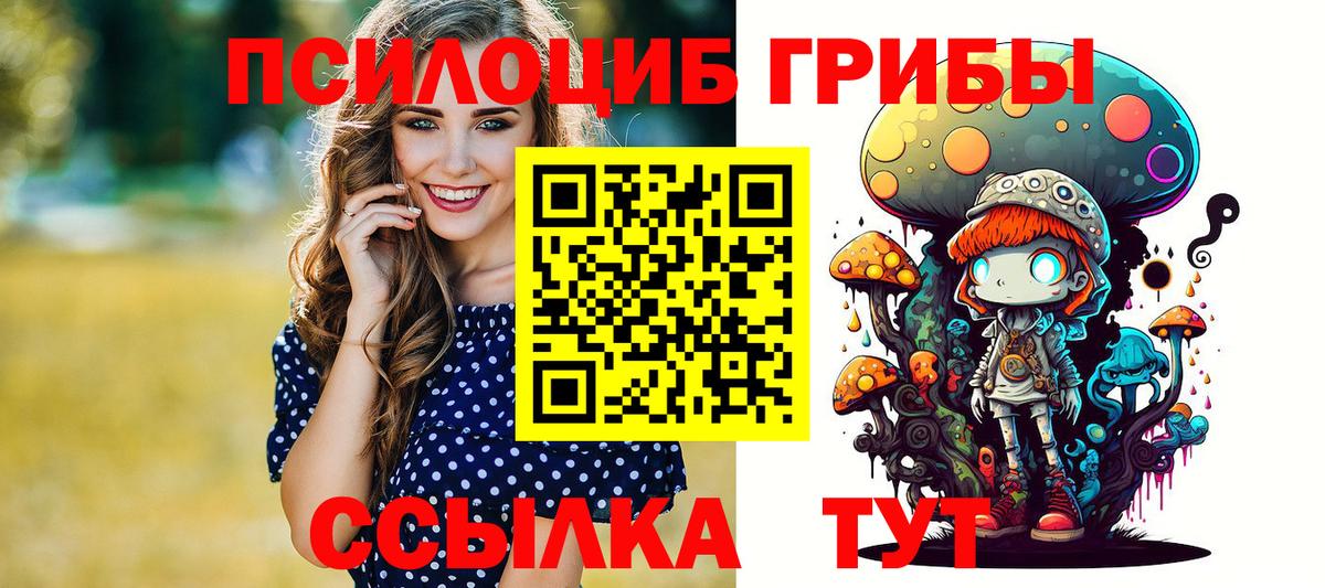 Псилоцибиновые грибы мицелий Елизово