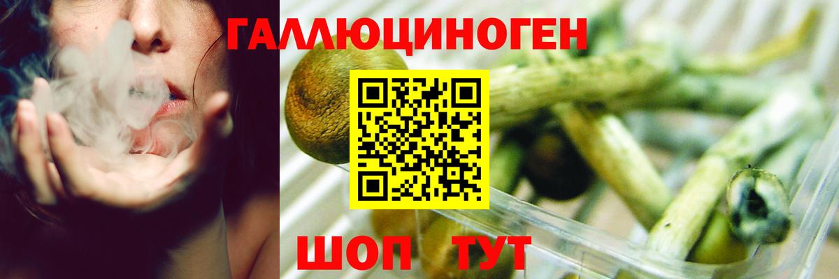 Елизово  Псилоцибиновые грибы прущие грибы  Вход с VPN  Галлюциногенные грибы прущие грибы 